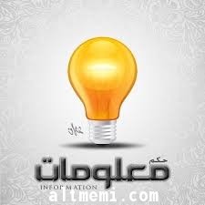 لماذا يخفض زيت الزيتون ضغط الدم